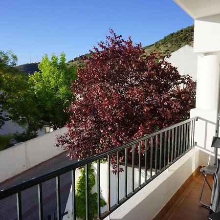 Cute And Relaxing Bed And Breakfast En Albayzin Γρανάδα Εξωτερικό φωτογραφία