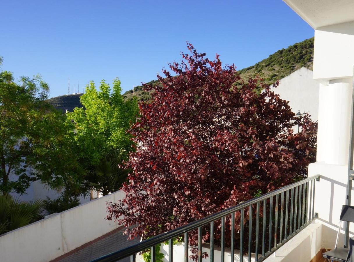 Cute And Relaxing Bed And Breakfast En Albayzin Γρανάδα Εξωτερικό φωτογραφία