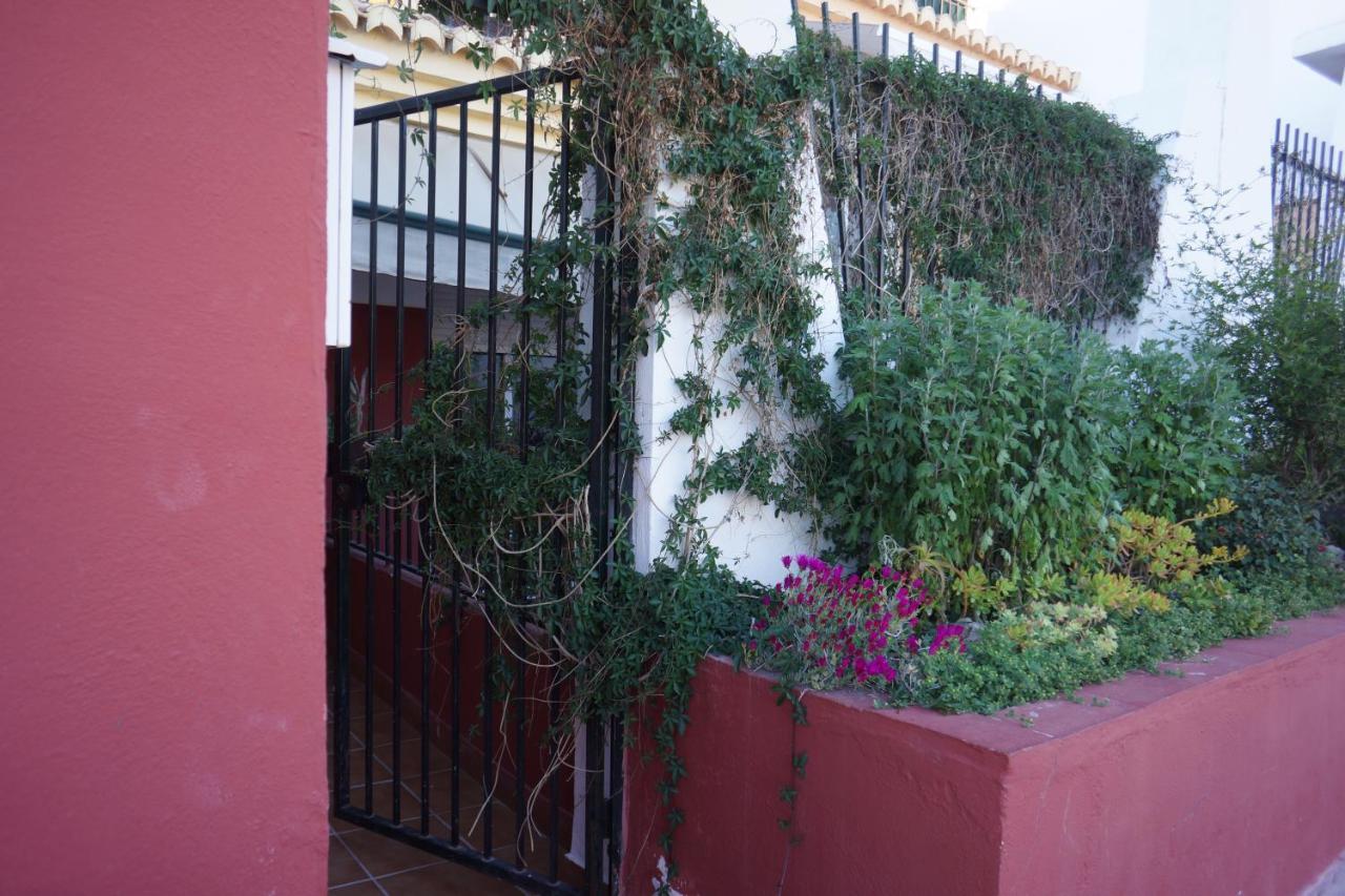 Cute And Relaxing Bed And Breakfast En Albayzin Γρανάδα Εξωτερικό φωτογραφία